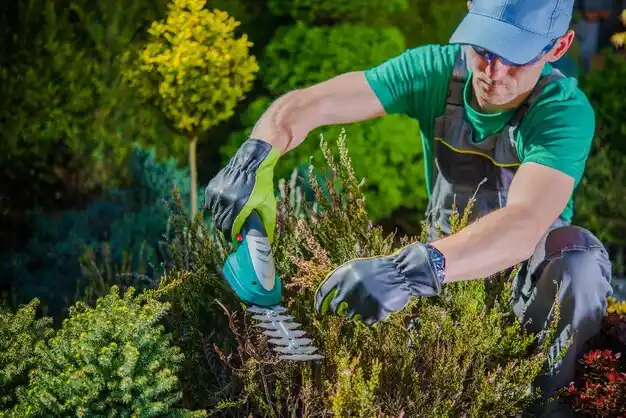 landscaping services Munising